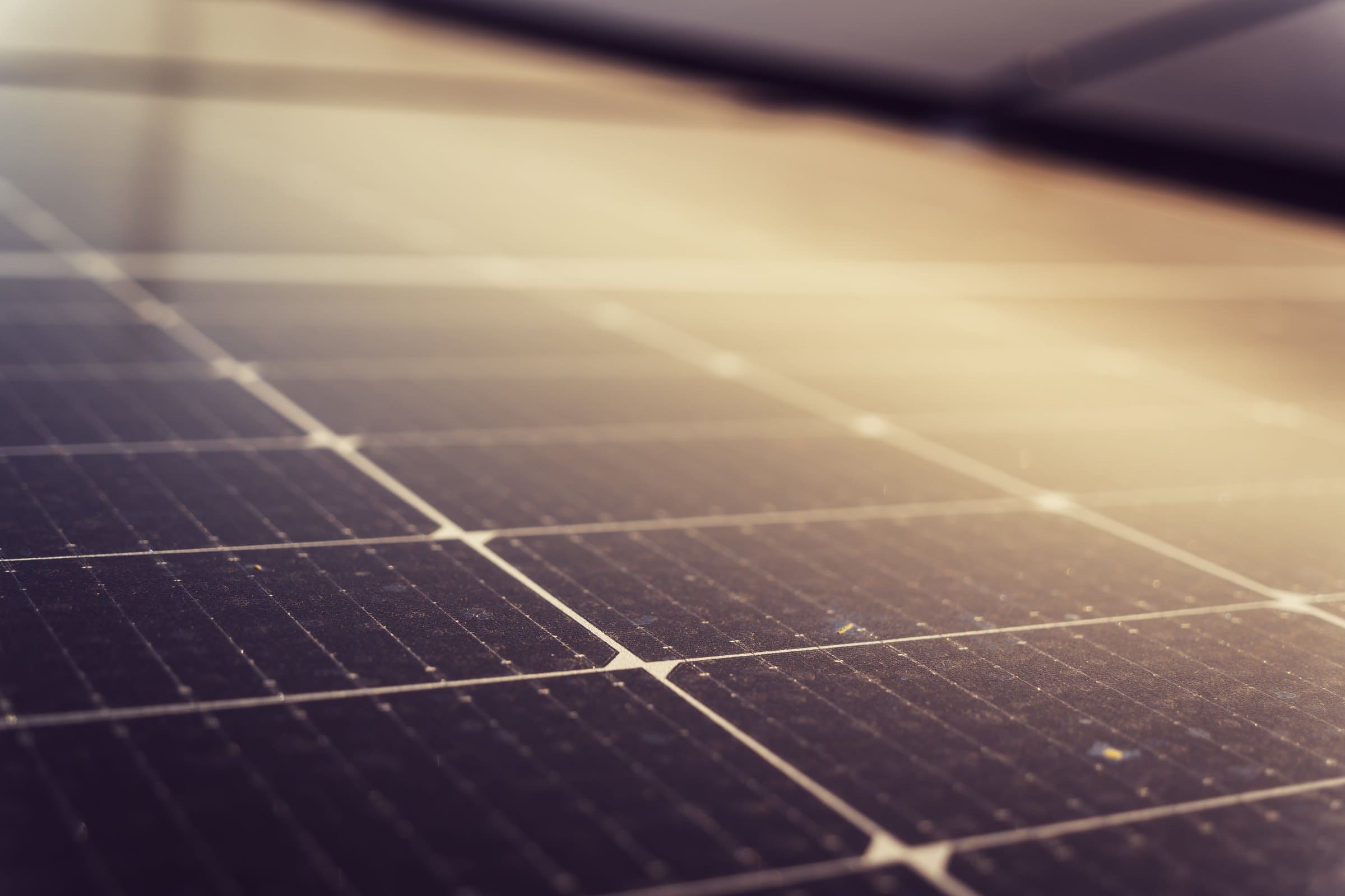 Close-up of solar cells catching warm evening light